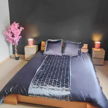 Maison Plein Pied Avec Place De Parking, Jardin Clos Et Terrasse Exterieure, Quartier Calme Proche Centre Proche Gare, Capacite 4 Personnes Tatil Evi *